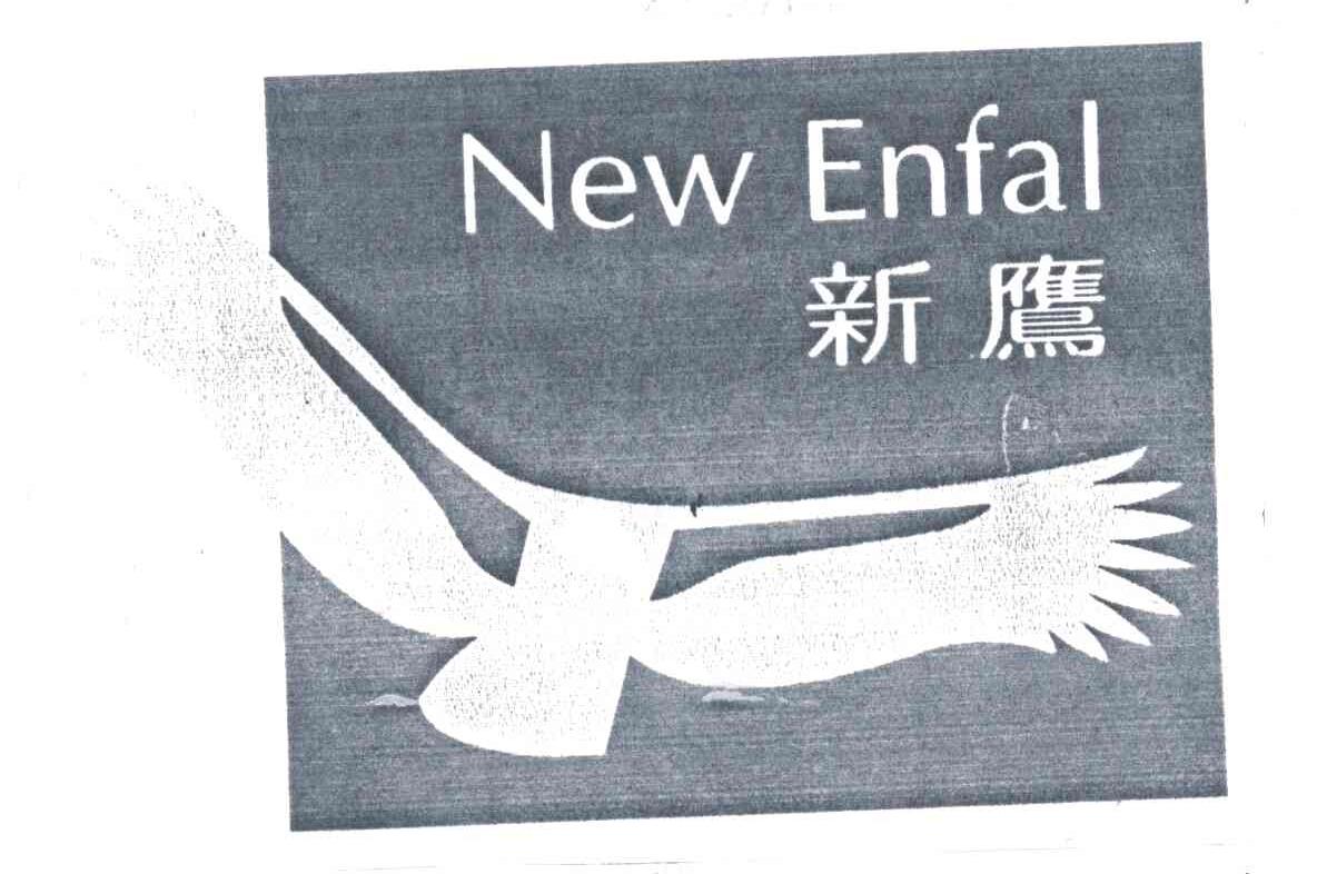 新鹰;NEW ENFAL