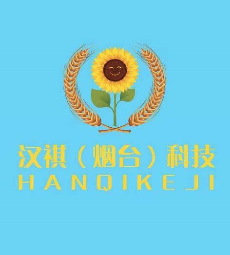 汉祺（烟台）科技 HANQIKEJI