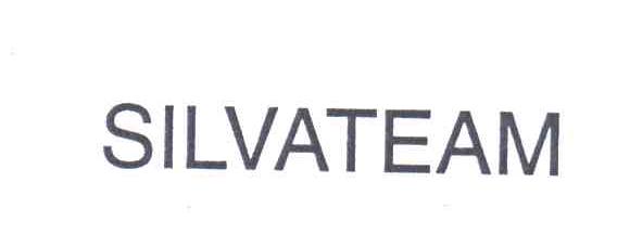 SILVATEAM
