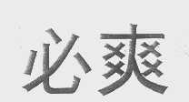 必爽