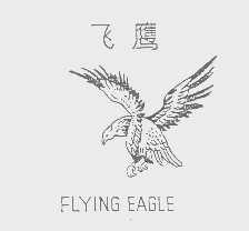 飞鹰   FLYING EAGLE