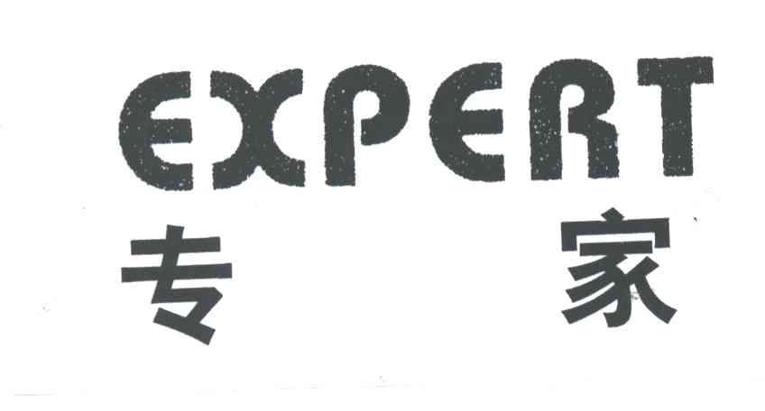 专家;EXPERT