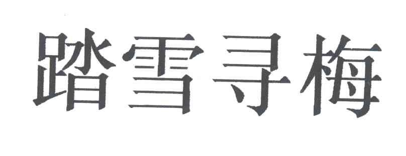 踏雪寻梅