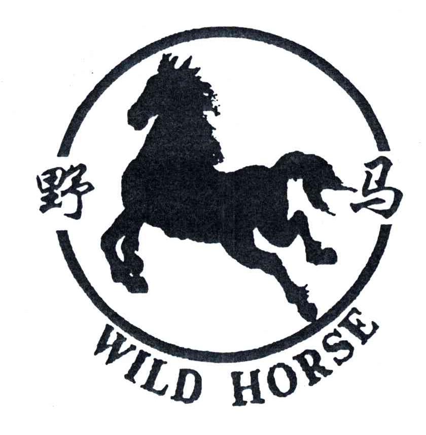 野马;WILD HORSE