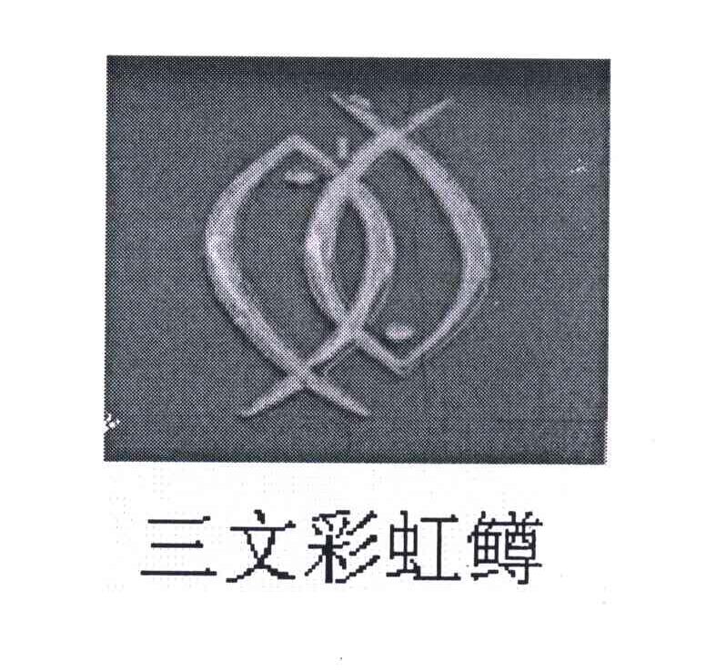 三文彩虹鳟