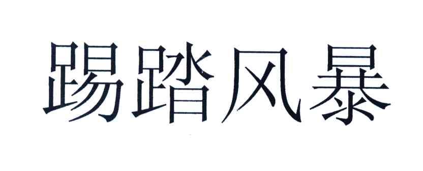 踢踏风暴