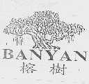 榕树  BANYAN