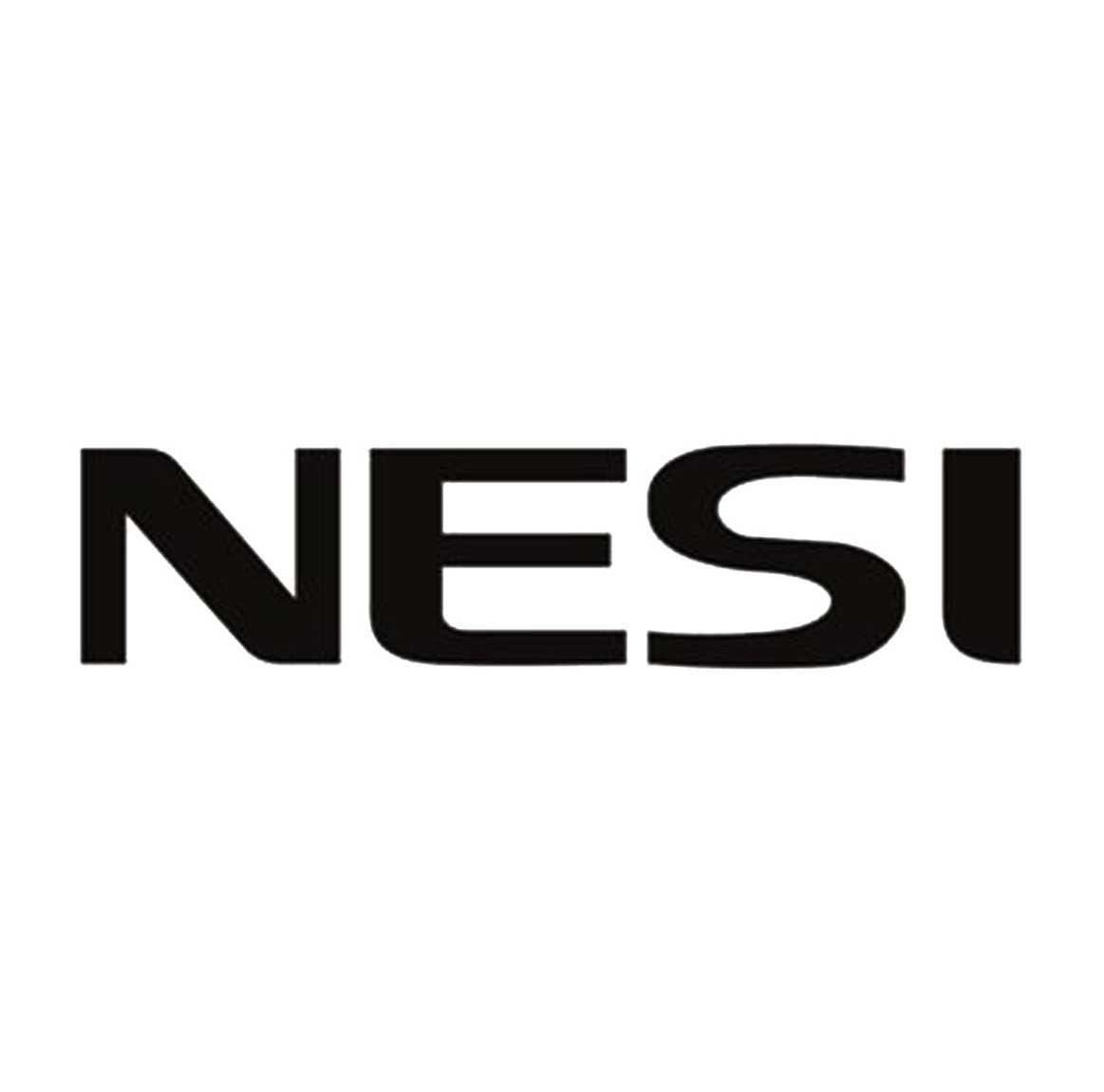 NESI