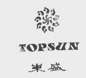 东盛   TOPSUN