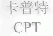 卡普特;CPT