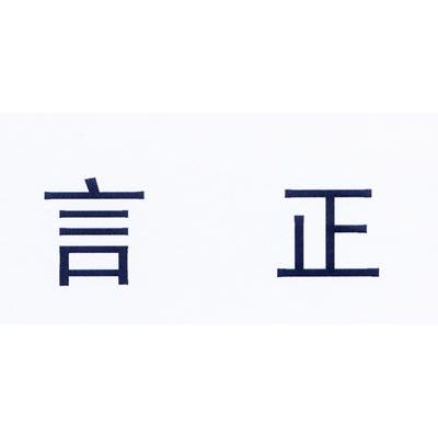 言正