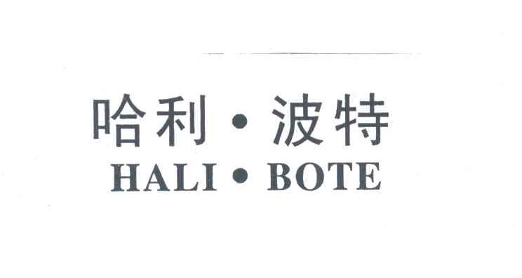 哈利.波特
