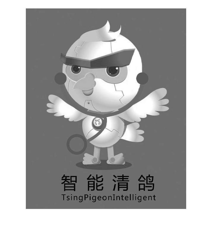 智能清鸽 TSINGPIGEONINTELLIGENT