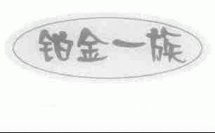 铂金一族