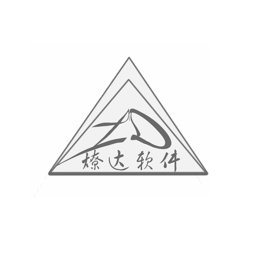 燎达软件 ZD