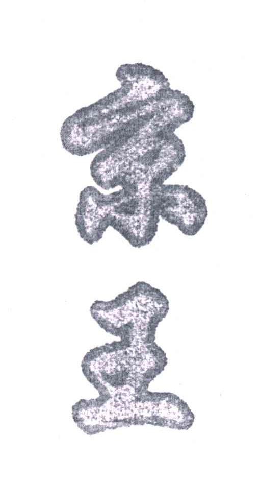 京王