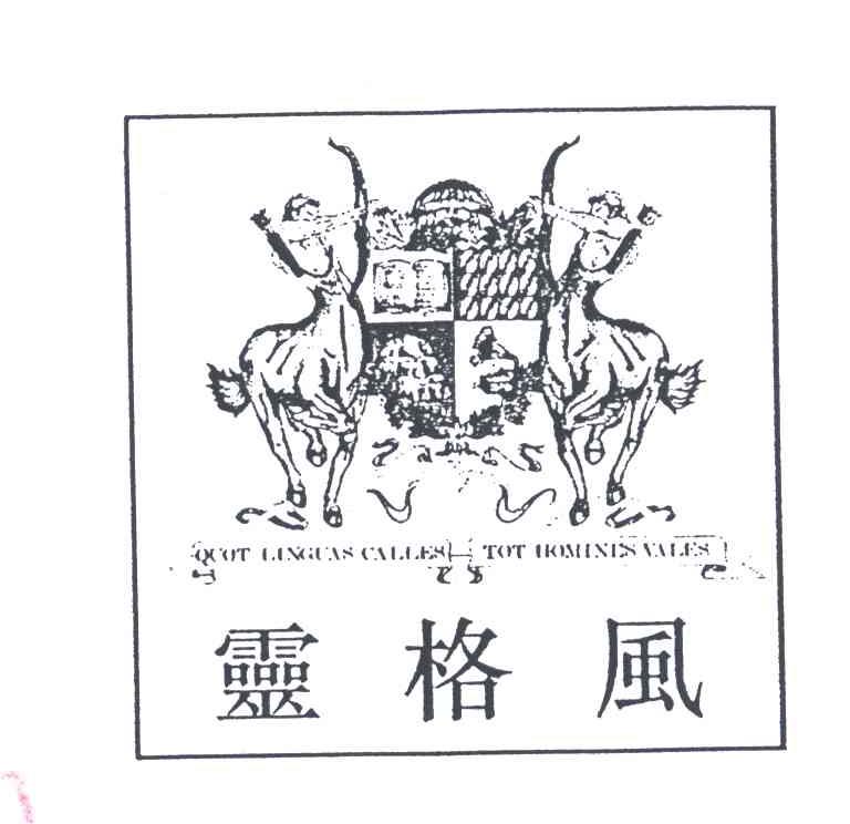 灵格风