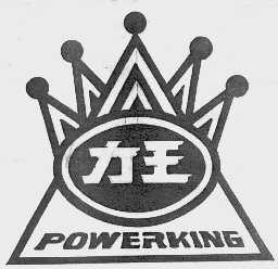 力王  POWERKING
