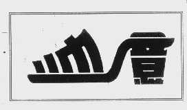 帅意