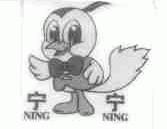 宁宁
