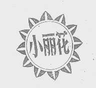 小丽花