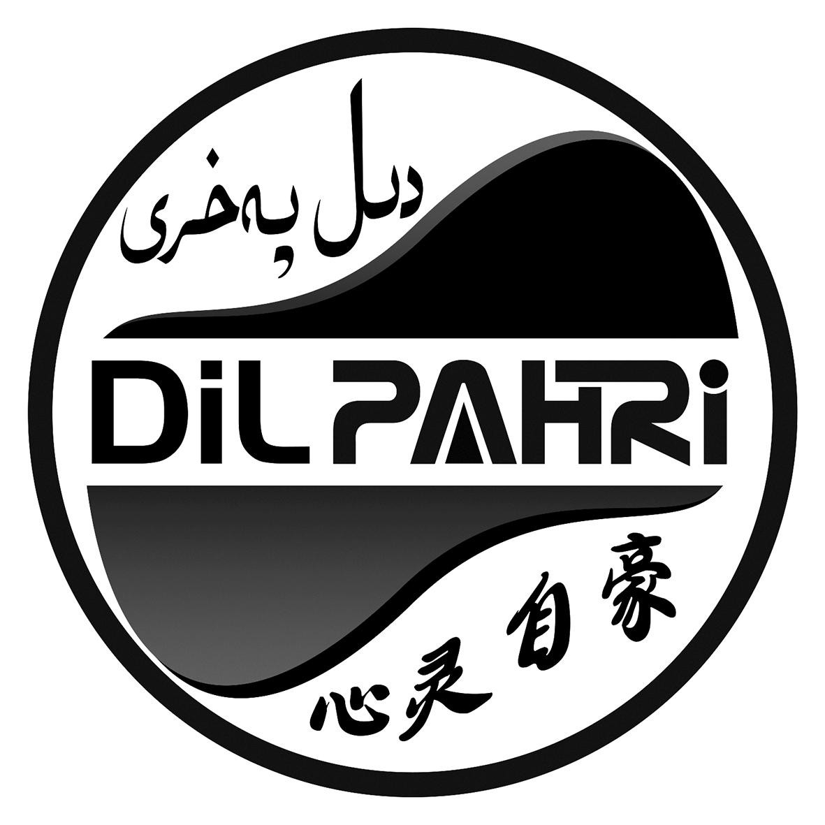 心灵自豪  DIL PAHRI