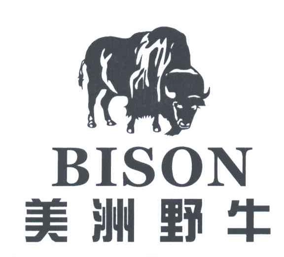 美洲野牛;BISON