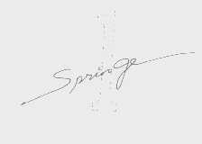 SPRINGE1