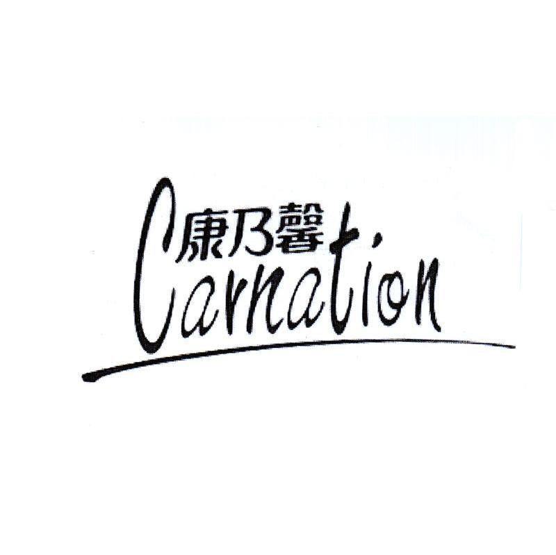 康乃馨 CARNATION