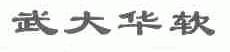 武大华软