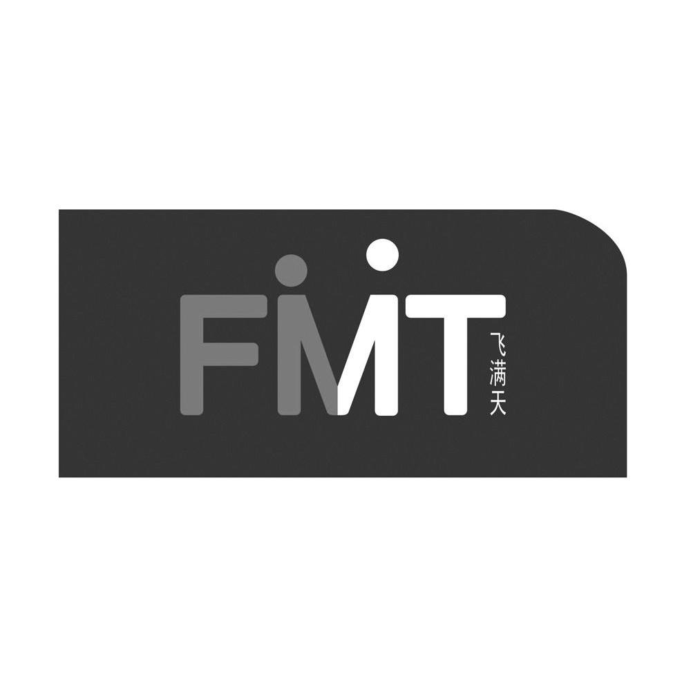 飞满天 FMT