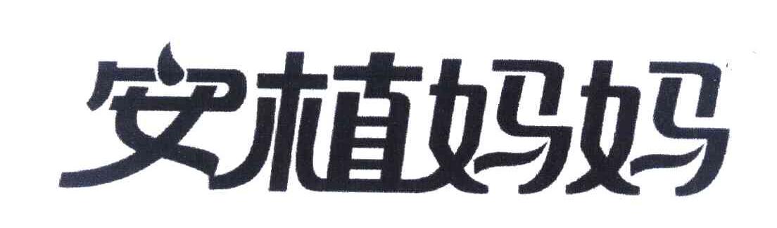 安植妈妈