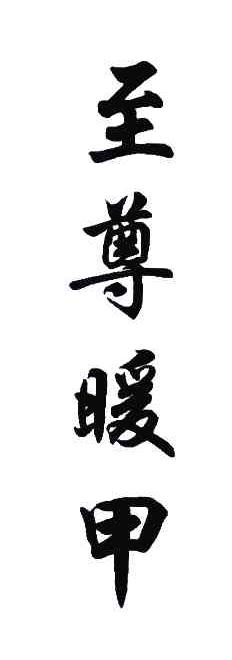 至尊暖甲
