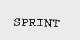SPRINT
