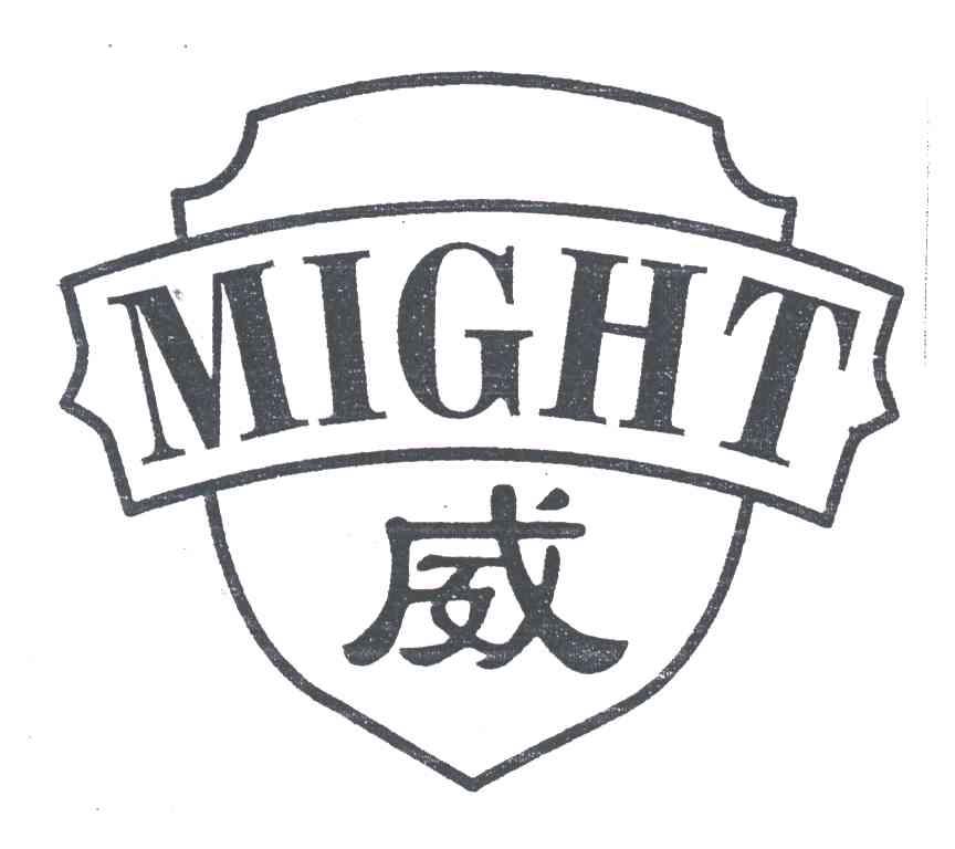 威MIGHT