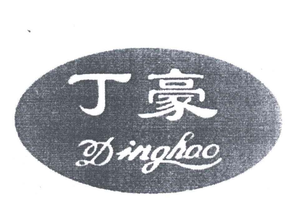 丁豪