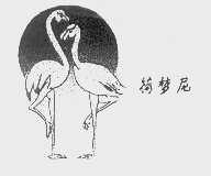 荷梦尼
