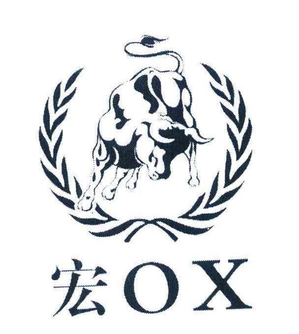 宏 OX
