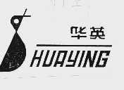 华英