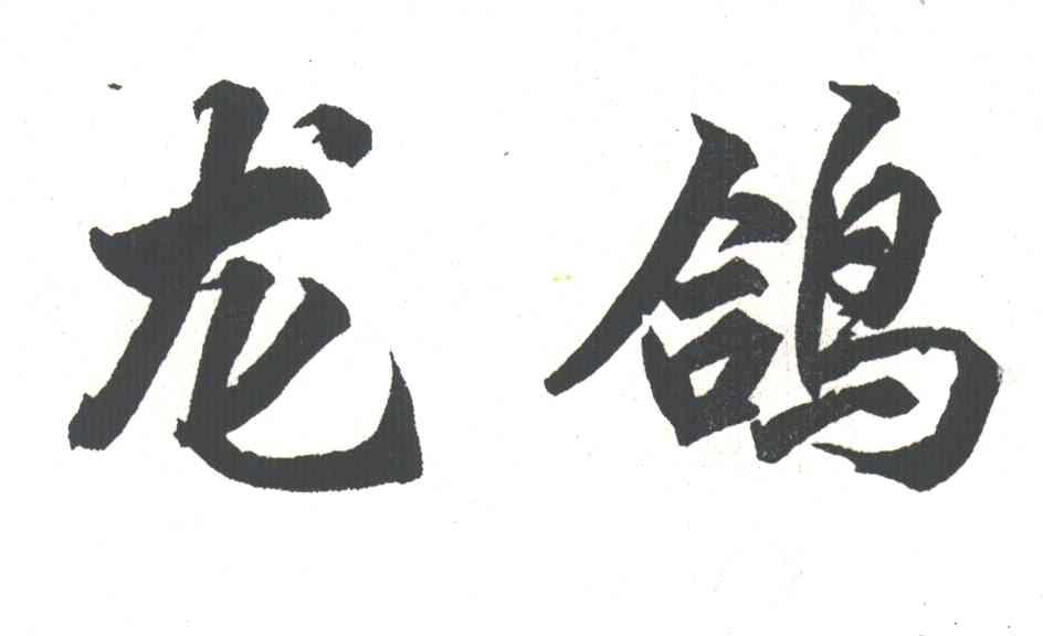 龙鸽