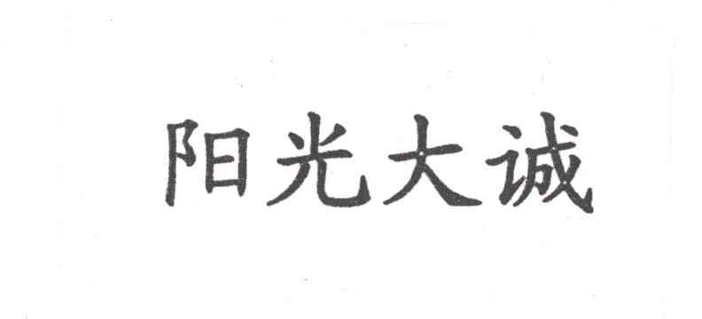 阳光大诚