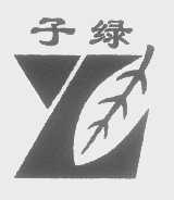 子绿
