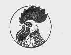 上山