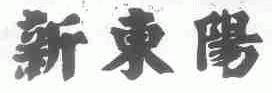 新东阳