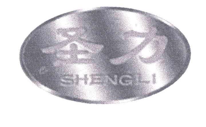圣力