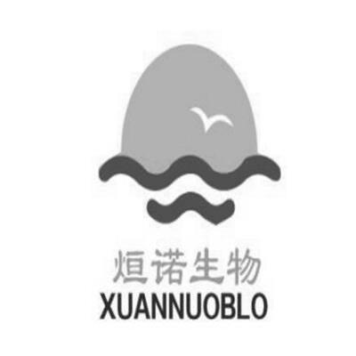煊诺生物  XUANNUOBLO