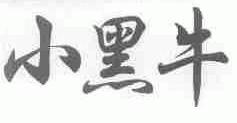 小黑牛