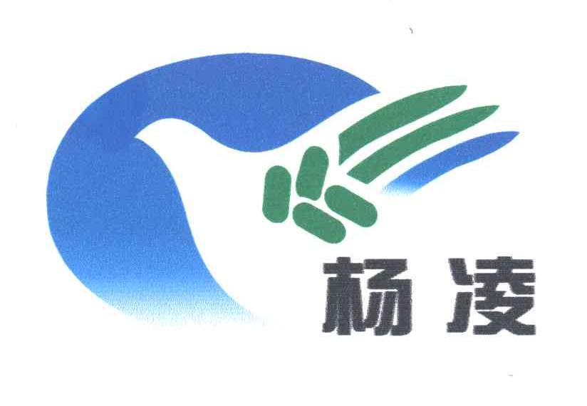 杨凌