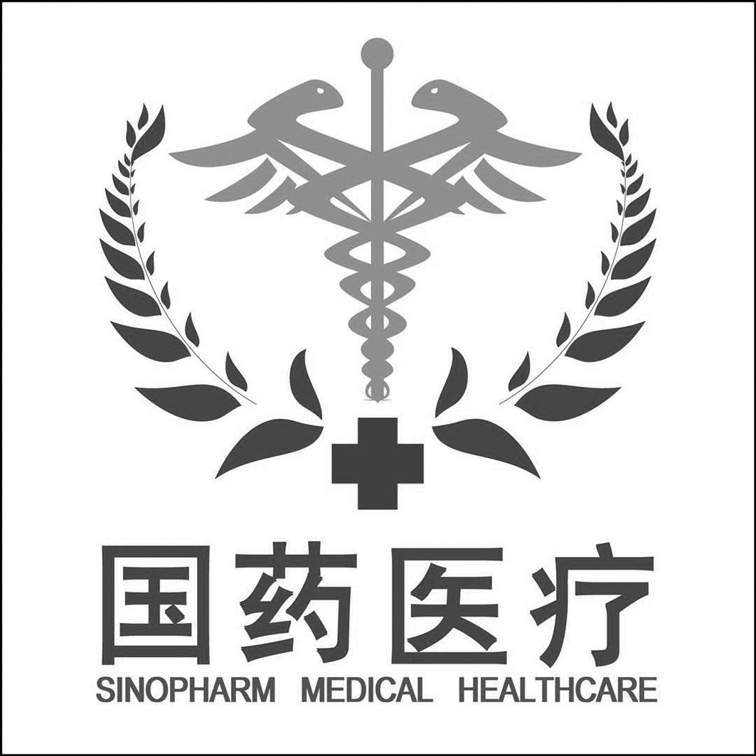 国药医疗 SINOPHARM MEDICAL HEALTHCARE