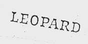LEOPARD